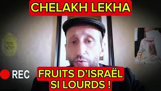 FRUITS 🍇 D’ISRAËL ÉNORMES  Chelah  explorateurs Torah Rav Rabbi Talmud cohensolal Tsadik [upl. by Ide]