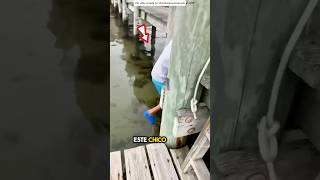 Tortuga Como Gusano Encontrada en el Agua 😳 [upl. by Gnilrad]