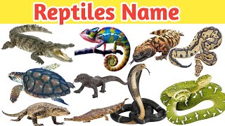 Reptiles  10 Reptiles Name Hindi and English  रेंगनेवाला जन्तु  rengane wala  Famous reptiles [upl. by Eohce]