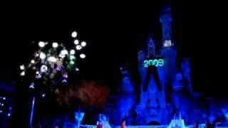 TDL Countdown Party Fireworks 2009 [upl. by Eikkin449]