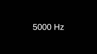 5 kHz 5000 Hz sine wave test tone [upl. by Mouldon]