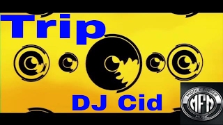 DJ Cid  Trip  Official Music Video [upl. by Skricki]