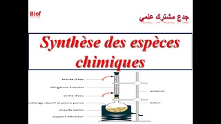 Synthèse des espèces chimiques  Tronc commun تصنيع الأنواع الكيميائية جدع مشترك علمي [upl. by Fiorenze118]