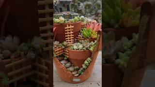 Building Decoration Terrarium in Planter planter gardendecor [upl. by Adihsar673]