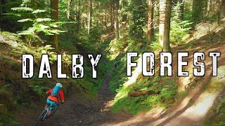 Dalby Forest Mtb  Black world cup route and Red trail [upl. by Eustatius]