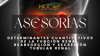 DETERMINANTES CUANTITATIVOS RENALES REABSORCIÓN Y SECRECIÓN TUBULAR RENAL  Tema 2 pt 2  NUCAF [upl. by Kenley]