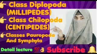 Class Diplopoda MILLIPEDES Class Chilopoda CENTIPEDES Classes Pauropoda And Symphyla [upl. by Dwayne]