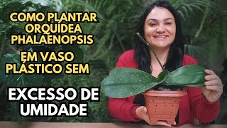 COMO PLANTAR ORQUÍDEA PHALAENOPSIS EM VASO PLÁSTICO SEM EXCESSO DE UMIDADE  SUBSTRATO IDEAL [upl. by Ettenowtna]