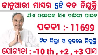 January Month Top Odisha Government Jobs 2024  Odisha Government Jobs 2024  Odisha Jobs [upl. by Nannah]