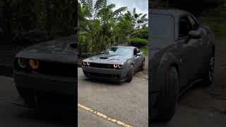 hellcat dodgechallengerhellcat automobile republicadominicana challengerhellcat dodgedemon [upl. by Arrec4]