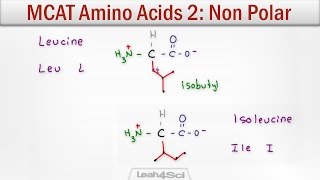 MCAT Amino Acids 2  Hydrophobic NonPolar Neutral Side Chains [upl. by Pussej380]