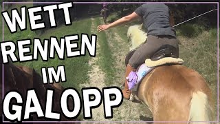 Wettrennen im Galopp ✮✮✮✮✮ [upl. by Dubois]