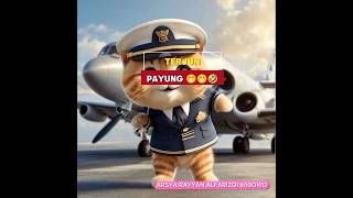 Terjun payung 🤣😭🥰‼️shorts kucing cat kucinglucu hiburan [upl. by Holmann]