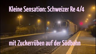 Kleine Sensation an der Südbahn UTL mit zwei Re 44 und Rübenverkehr [upl. by Pestana]