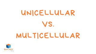 Unicellular vs Multicellular KS3 [upl. by Nivri]