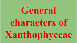 BSc First Year Botany Paper  I General characters of Xanthophyceae [upl. by Welch]