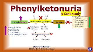 8 Phenylketonuria  Amino acid Metabolism  Biochemistry  NJOY Biochemistry [upl. by Ambrosio]