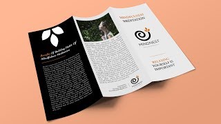 Indesign Tutorial Creating a Trifold Brochure in InDesign and MockUp in Photoshop [upl. by Alejna]