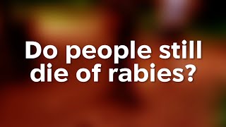 Do People Still Die of Rabies [upl. by Stclair]