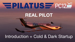 Pilatus PC12 Cold amp Dark Startup  Real World Step by Step Instructions 4K  Carenado PC12 Video 1 [upl. by Ahsekan]