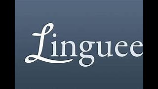 O Site Tradutor De Idiomas Linguee [upl. by Neenaj164]