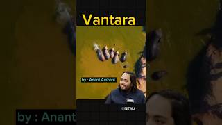 Day 25  Vantara II star of the forest anantambani vantara animals animallover [upl. by Timmy]