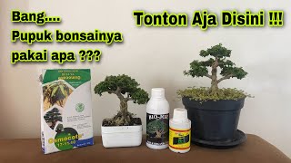 Kombinasi Pupuk Bonsai Terbaik Untuk Hasil Yang Maksimal [upl. by Esilehc]