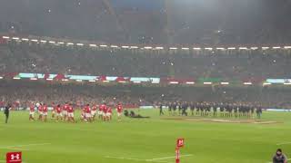 Tonga Haka at Wales vs Tonga Autumn 2018 [upl. by Milde]