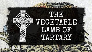 The Vegetable Lamb of Tartary [upl. by Anewor50]