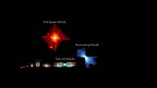 Nebula Size Comparison ft Reigarw Comparisons and Universe UA [upl. by Cami]