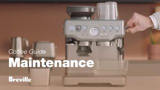 The Barista Express®  Our tutorial on how to descale your espresso machine  Breville USA [upl. by Ardolino676]