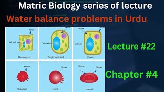 water balance problem class 9 Biology Lec in Urdu in Hindi  Lec 22  chp 4  cells and tissues [upl. by Hobbie]