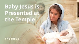 Luke 2  The Christ Child Is Presented at the Temple  The Bible [upl. by Dlaregztif]