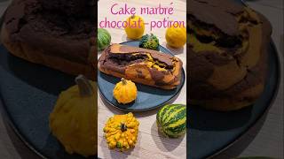 Cake marbré chocolatpotiron 🍫🍰 Chocolate pumpkin marble cake [upl. by Hakon]