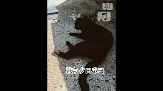 気持ちよく歌うクロネコ🐈‍⬛🎤🎶 猫島 姫島 cute ねこ cat クロネコ cat [upl. by Foah]