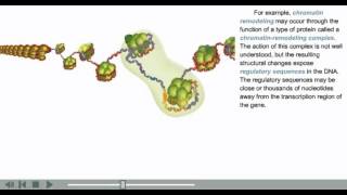 DNA Packaging Animation  chromatin histone and nucleosome modifications [upl. by Bonn]