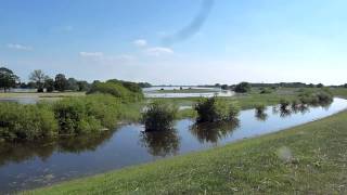 Elbe Hochwasser am Zollenspieker Hauptdeich am 09062013 [upl. by Redan]