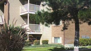 Chadds Ford Apartments in Midvale UT  ForRentcom [upl. by Onifled]