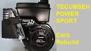 Tecumseh Go Cart power sport engine Carburetor Cleaning part 2 [upl. by Imit]