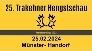 Trakehner Hengstschau 2024 Teil 2 [upl. by Bushore]