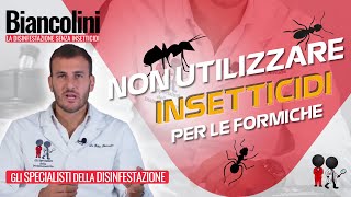 🔎​🐜​ Formiche NON utilizzare insetticidi prima di aver visto questo 🔎​🐜​ [upl. by Scoville219]