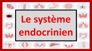 🔴ENDOCRINOLOGIE  LE SYSTÈME ENDOCRINIEN EN 06 MINUTES [upl. by Awra]