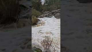 Kuhakoski Waterfall Nurmijärvi travel waterfall watersounds viralshort finland [upl. by Batsheva270]