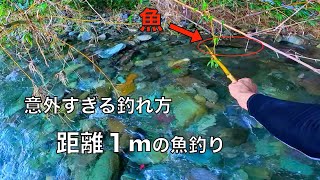 距離１mの魚釣り。意外に美味しいあの魚を本気で調理した結果‥ [upl. by Choong]