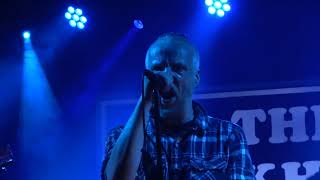 The Liars Club live at The Bunkhouse Swansea 23rd May 2024 [upl. by Harrell]