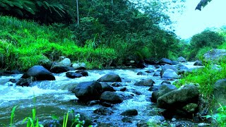 Relaxing river sound of mountain streams for deep sleep mind refreshing stress relief and yoga [upl. by Huan]