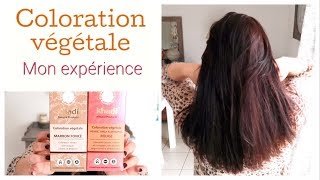 🌱 Coloration végétale Khadi  mon expérience 🌱 [upl. by Elli]