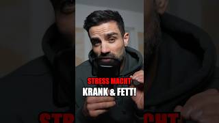 Stress macht Krank amp Fett [upl. by Woods]