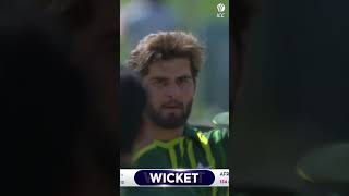 Shaheen Afridi doing what he does best 😎 ytshorts cricket cricketshorts [upl. by Catherine]