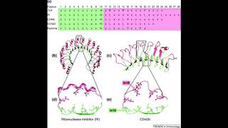 Chapter 4 Innate Immunity [upl. by Atikkin576]